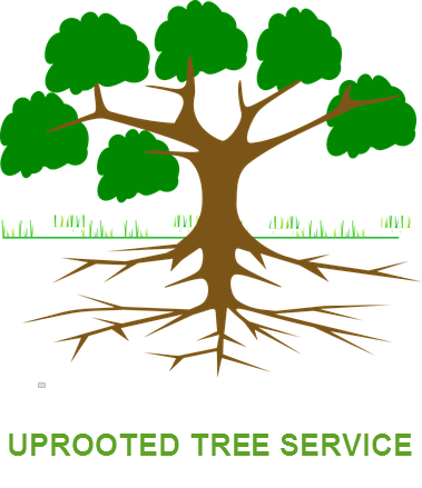 Uprooted Tree Services